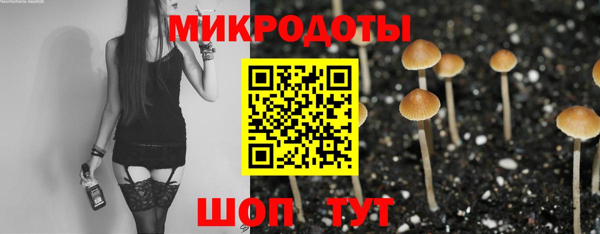 Малгобек  Галлюциногенные грибы MAGIC MUSHROOMS  Псилоцибиновые грибы мухоморы  Вход с VPN 