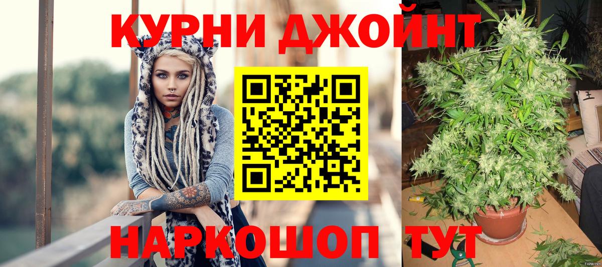 Каннабис индика  Вход с VPN  Малгобек  Марихуана планчик  Каннабис план  Конопля конопля 